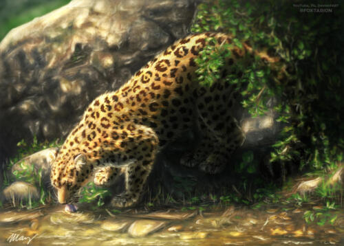 17. Jaguar - menší