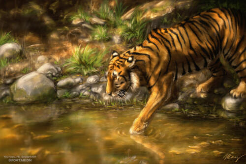 18. Tiger - Having a Bath - menší
