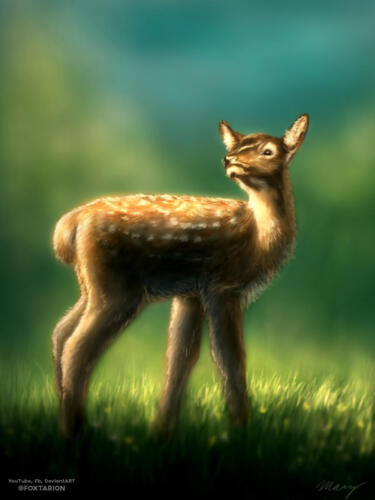 19. Deer - menší